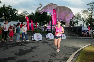 BIB: 
                            <button type="button" onclick="openModal(26529340)" class="btn btn-primary btn-sm float-right btn-popup" data-toggle="modal" data-target=".modal-high-quality">
                        <i class="fas fa-shopping-cart"></i> Add to Cart
                    </button>
                                            <button type="button" onclick="isThisMe(26529340, true)" class="btn btn-success btn-sm float-right btn-popup btn-isme hidden" data-toggle="tooltip" data-placement="bottom" title="นี่คือรูปของคุณใช่ไหม คลิกที่นี่เพื่อเอาเข้าอัลบั้ม">
                        <i class="fas fa-plus"></i> Add to album
                    </button>
                    <button type="button" onclick="isThisMe(26529340, false)" class="btn btn-warning btn-sm float-right btn-popup btn-isnotme hidden">
                        <i class="fas fa-ban"></i> Remove from album
                    </button>